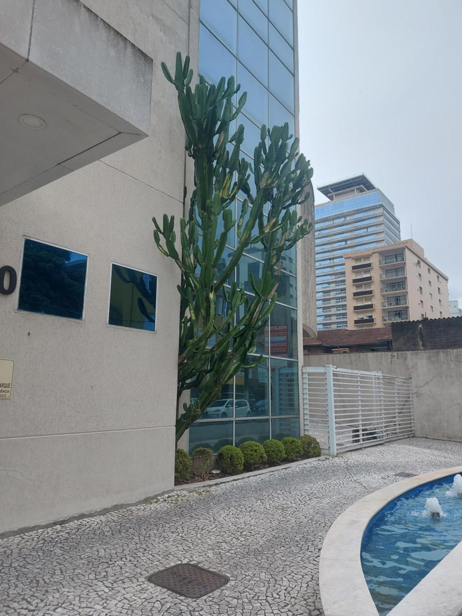 Apartamento Duplex Na